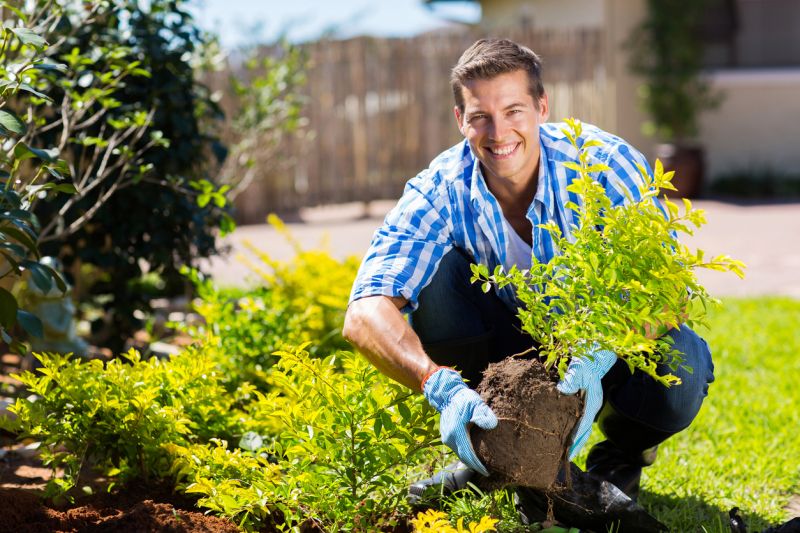 Shrub Landscaping in Ventura County, CA